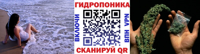 Купить закладку Новоузенск Alpha PVP Cocaine Мефедрон Гашиш