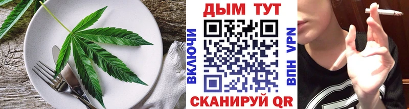 дарк нет формула  Новоузенск  Canna-Cookies конопля  продажа наркотиков 