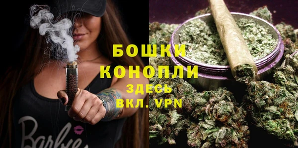 apvp Тайга